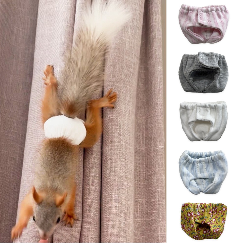 Popok Tupai Penyerap Anti Boco - Period Panty Absorbent ulasan dan harga